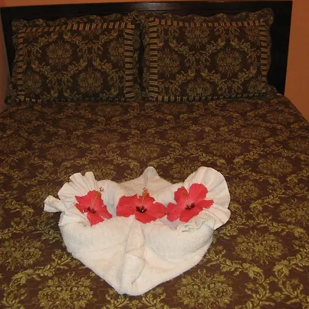 Executive Shaw Park Guest House-3