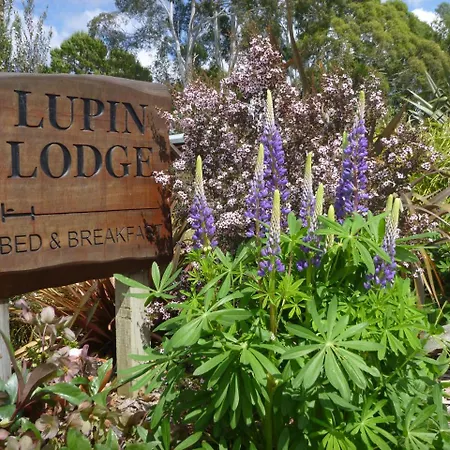 Lupin Lodge Bed & Breakfast-3