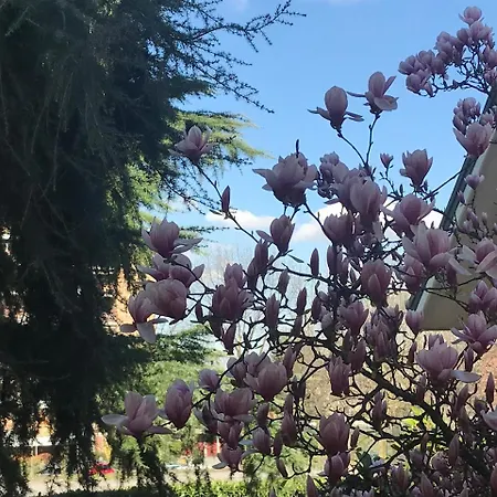 B&B Borgo dei Fiori-2