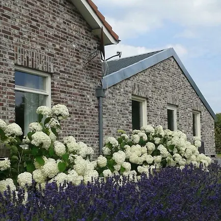 B&B De 7 Sprong-3