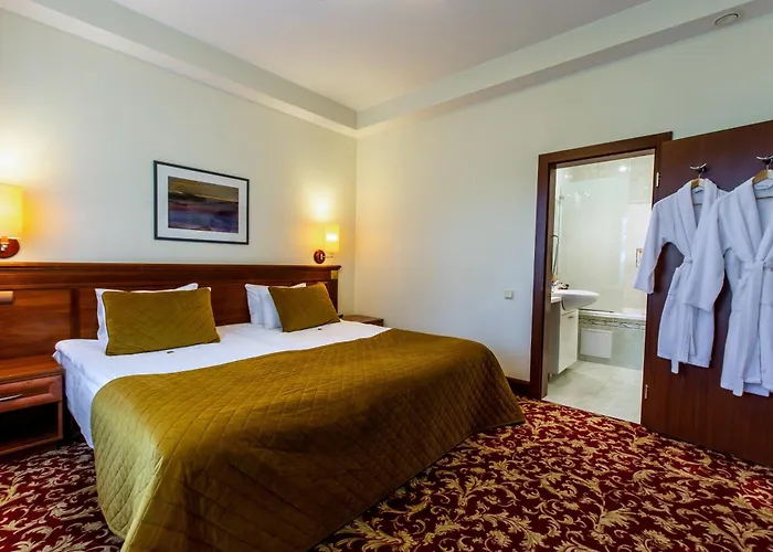 Hotel Violeta Druskininkai