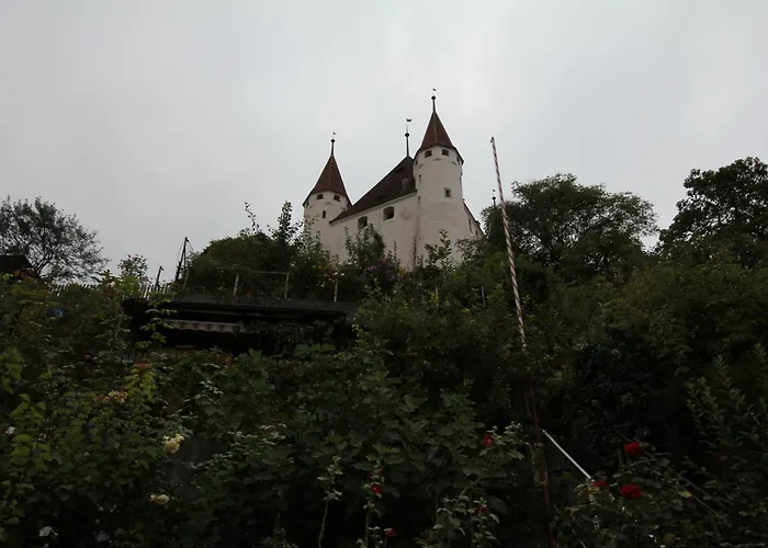 Hotel Restaurant Schwert Thun