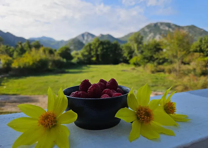 Sunny Valley Bar