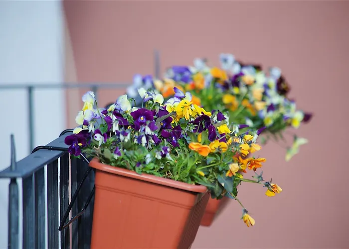 Il Giardino Segreto