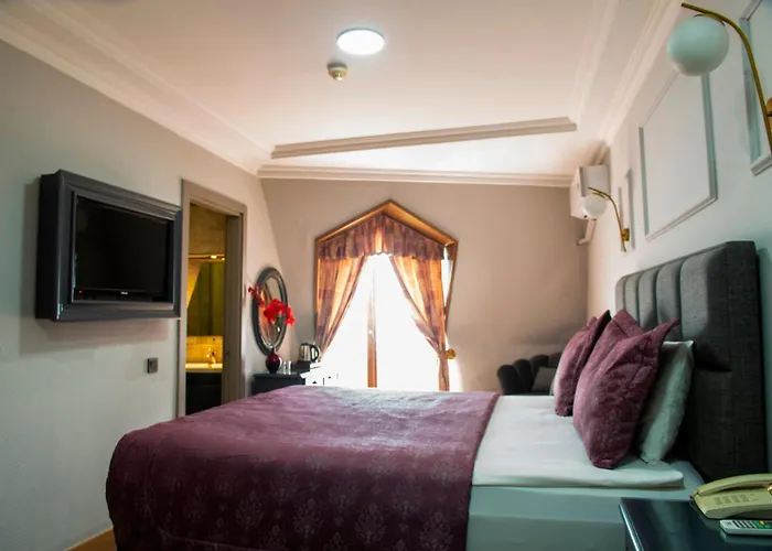 Hotel Daphne Provincia di Provincia di Istanbul