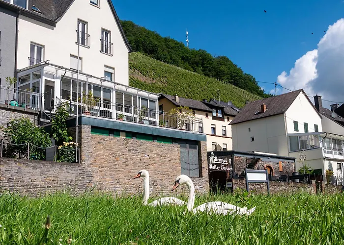 Weingut / Gästehaus Gerlach