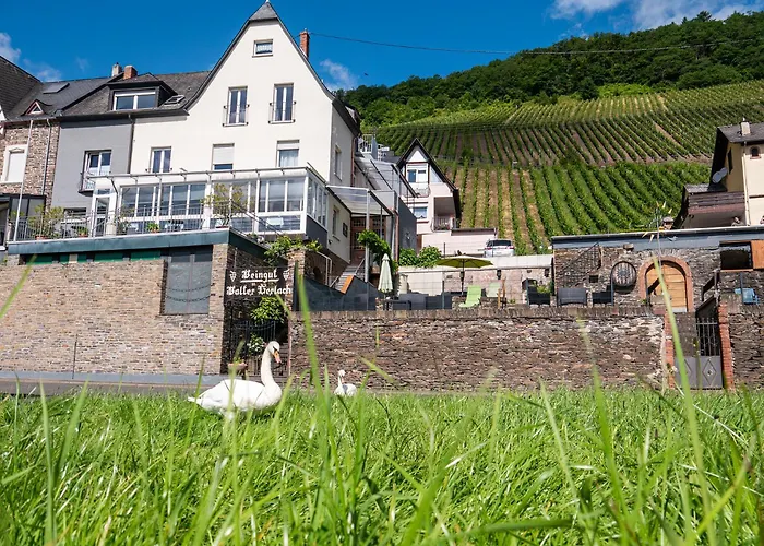 Weingut / Gästehaus Gerlach