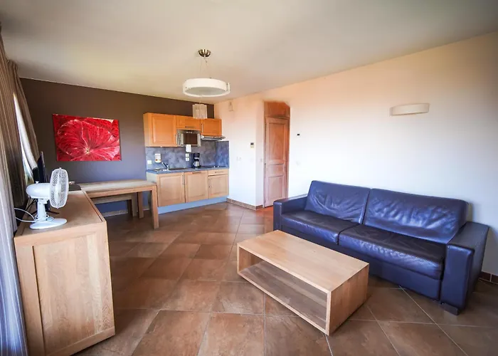 Résidence Hôtelière Spa Les Chataigniers Saint-Jorioz