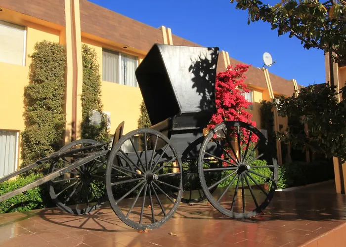 Hotel Sicomoro