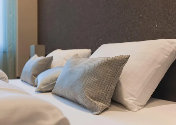 Plaza Hotel Winterthur