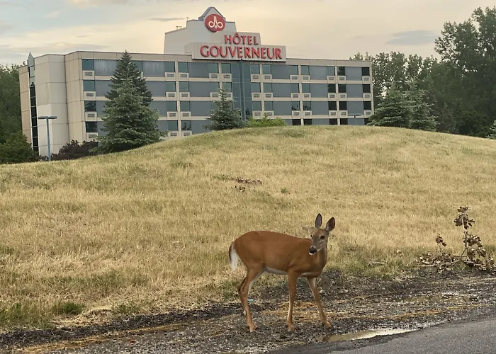 Hotels Gouverneur Montreal-Ile Charron