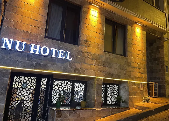 Sultanahmet Nu Hotel Istanboel