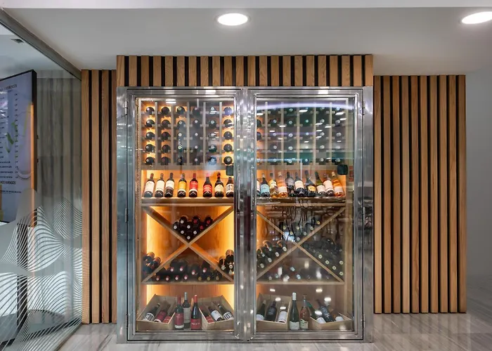 Alexandre Hotel Troya