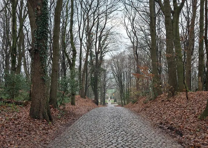 B&B Herberg Boerenhol DE MOTE BVBA