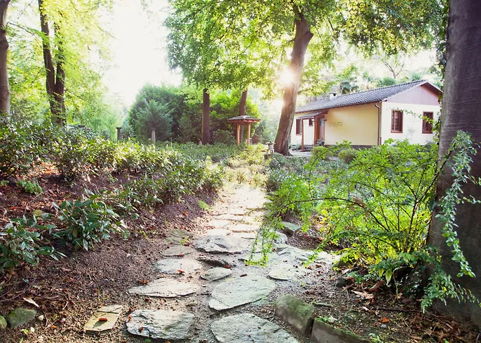 Hotel Monte Verità
