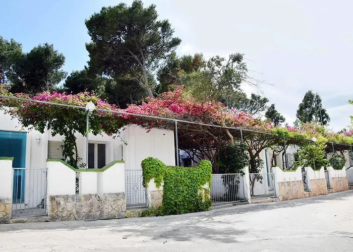 Camping Villaggio Pineta Al Mare