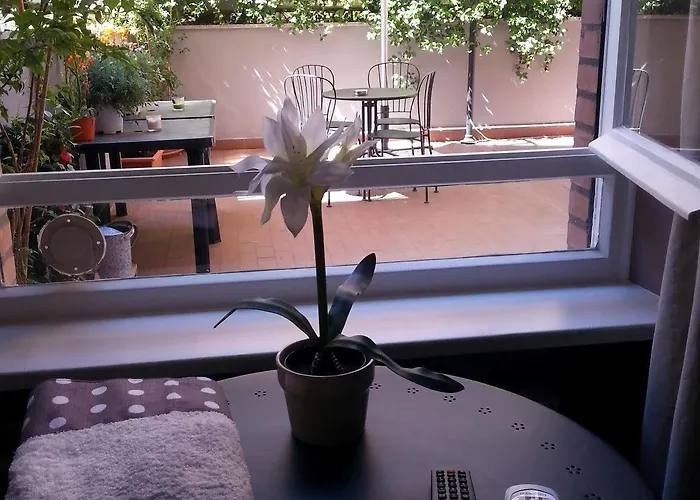 Bed and Breakfast Domus Pio XI° Roma