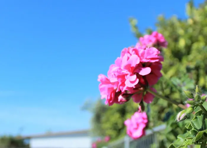 Bed and Breakfast Sun Of Sicily Noto