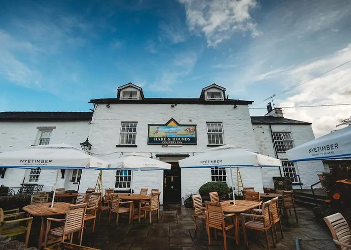 Hare And Hounds